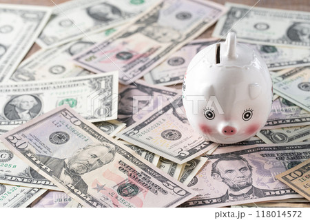 米ドルイメージ 貯金箱 米ドルイメージ 貯金箱 118014572