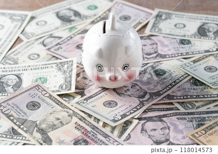米ドルイメージ　貯金箱 118014573