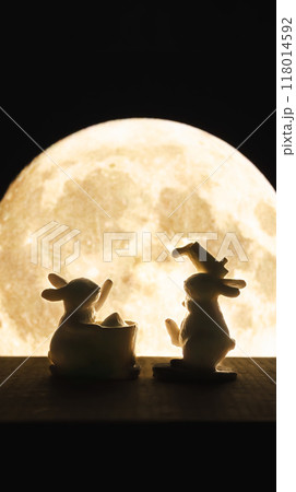 月とウサギ　お月見　十五夜　中秋の名月 118014592