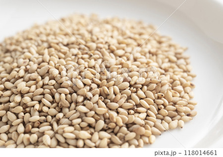 白ゴマ 118014661