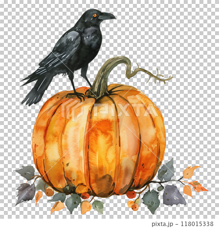 A pumpkin with a crow perched on top 118015338