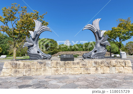 兵庫県姫路市　城見台公園から見る姫路城のしゃちほこのレプリカと姫路城天守 118015729