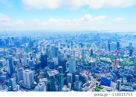 東京 空撮写真 東京 空撮写真 118015755