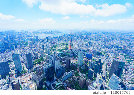 東京 空撮写真 118015763