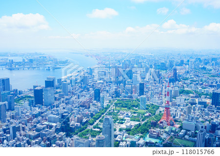 東京 空撮写真 118015766