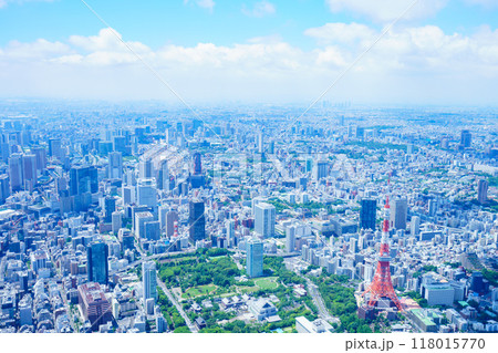 東京 空撮写真 118015770
