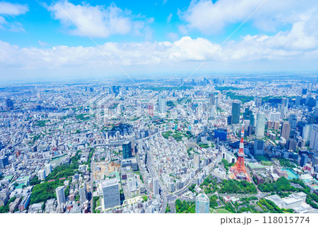東京 空撮写真 118015774