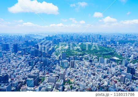 東京 空撮写真 東京 空撮写真 118015786
