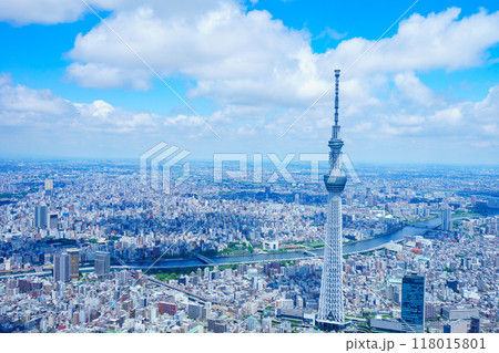 東京 空撮写真 東京 空撮写真 118015801