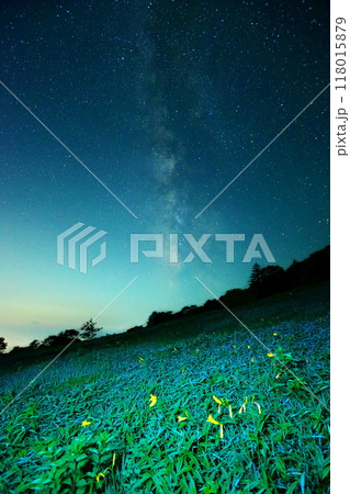 天の川銀河とニッコウキスゲ 118015879