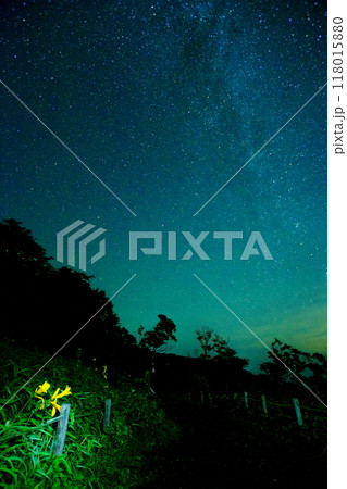 天の川とニッコウキスゲ 118015880