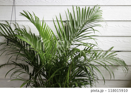 Cozy hygge decorated in relax garden 118015910