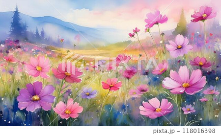 水彩で描いたコスモス畑と山の風景のイラスト素材 [118016398] - PIXTA