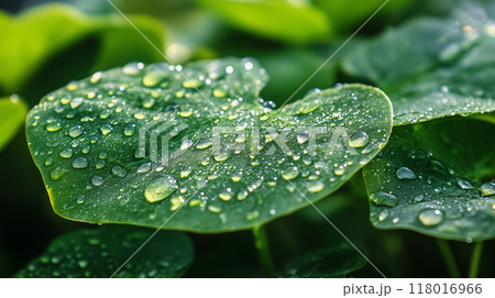 緑色の葉に乗った美しい朝露をクローズアップでリアルに描いたAI生成画像 118016966