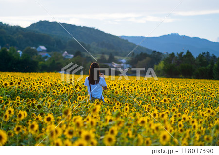 夕日の温かい光に包まれたひまわり畑で写真を撮っている女性（北海道） 118017390