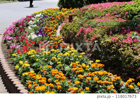 東京都千代田区外神田の昌平橋西橋詰広場の春の花壇 東京都千代田区外神田の昌平橋西橋詰広場の春の花壇 118017673