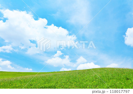 北海道　爽やかな夏の青空と新緑の草原風景 118017797