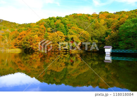 聖山すずらん湖(大沼)湖面へ映る紅葉した山 聖山すずらん湖(大沼)湖面へ映る紅葉した山 118018084
