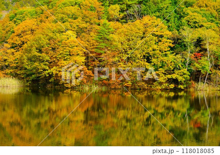 聖山すずらん湖(大沼)湖面へ映る紅葉した山 聖山すずらん湖(大沼)湖面へ映る紅葉した山 118018085