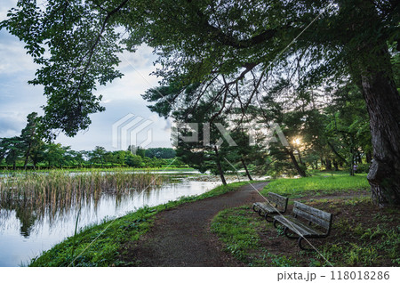 福島　夕暮れの大池公園（矢吹町） 118018286