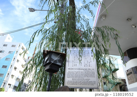 吉原大門　見返り柳 118019552