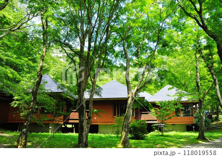 箱根町　芦ノ湖キャンプ村のケビン棟と新緑 118019558