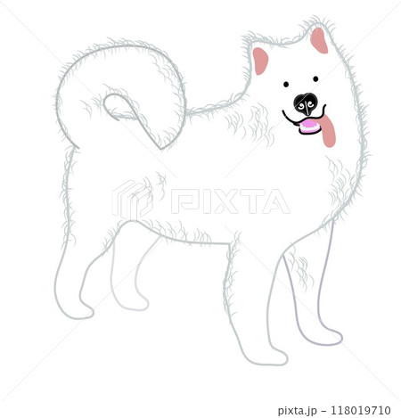 サモエド犬の全身イラスト サモエド犬の全身イラスト 118019710