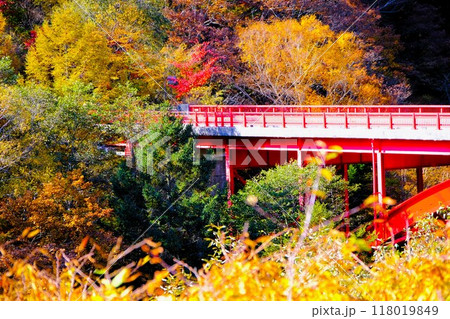 秋の八ヶ岳高原ラインの東沢大橋 秋の八ヶ岳高原ラインの東沢大橋 118019849