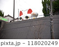 とこにゃん 118020249