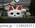 とこにゃん 118020251