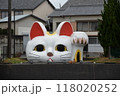 とこにゃん 118020252