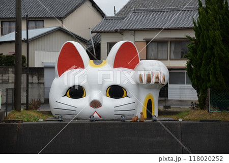 とこにゃん 118020252