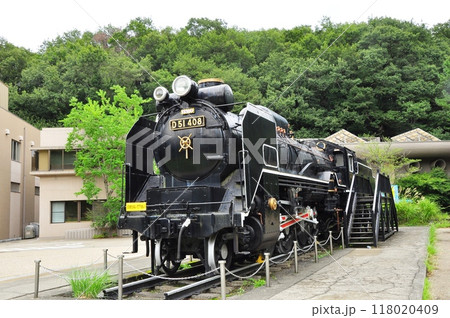 川崎市　生田緑地かわさき宙と緑の科学館とD51 118020409