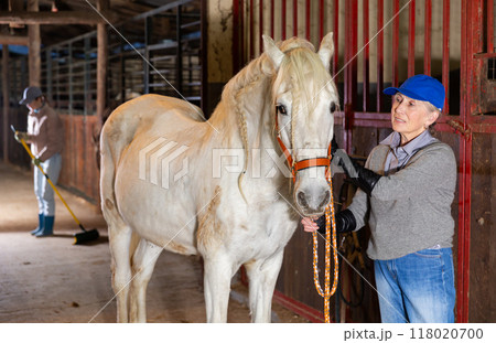 Portrait of mature woman with white horse in stable Portrait of mature woman with white horse in stable 118020700