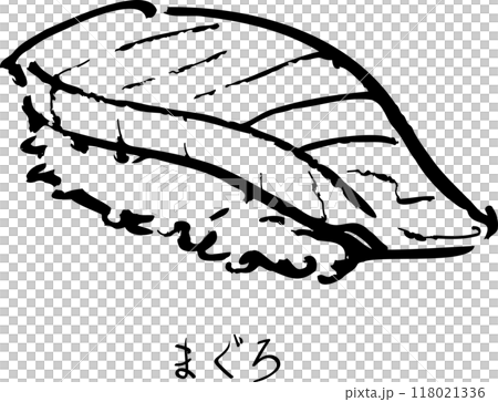 金槍魚貝殼 118021336