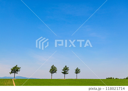 めまんべつメルヘンの丘 118021714