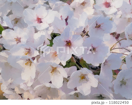 桜 118022450