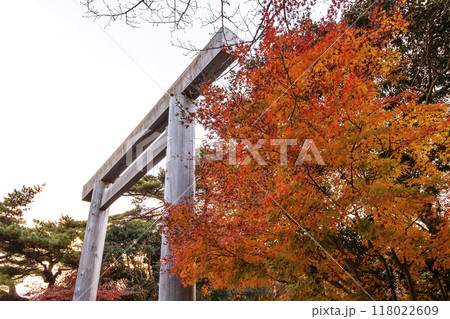 宇治橋の鳥居ともみじの風景 伊勢神宮内宮の紅葉の風景 秋の伊勢志摩観光スポット 宇治橋の鳥居ともみじの風景 伊勢神宮内宮の紅葉の風景 秋の伊勢志摩観光スポット 118022609