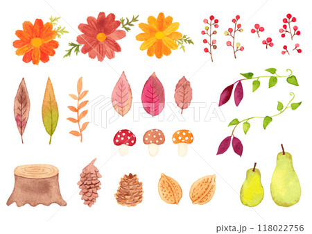 秋の水彩セット 118022756