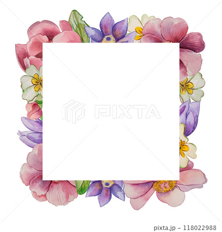 Square frame with spring flowers. Tulips, peonies, primroses, edelweiss are hand-painted in watercolor in pink, yellow and purple colors. For the design of postcards, wedding invitations, packaging 118022988