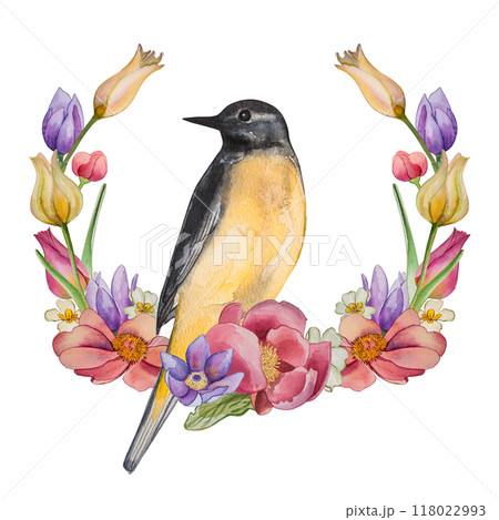 Peonies, tulips, primroses, birds, mountain flowers - illustrations. Painted in watercolor on a white background. Ideal for decoration, cards, wedding printing, flower shop, home decor and textiles Peonies, tulips, primroses, birds, mountain flowers - illustrations. Painted in watercolor on a white background. Ideal for decoration, cards, wedding printing, flower shop, home decor and textiles 118022993