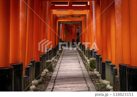 fushimi inari shrine's torii gates in kyoto fushimi inari shrine's torii gates in kyoto 118023151