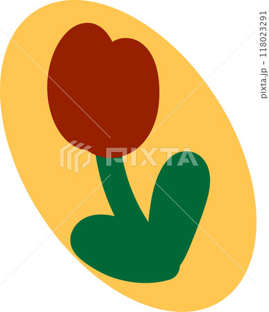 Cute tulip Cute tulip 118023291