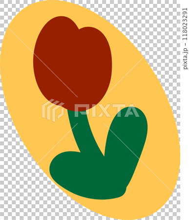 Cute tulip Cute tulip 118023291