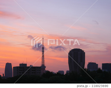 夜明けの東京タワー　 都市景観（2024年5月） 118023690
