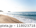 夏の白兎海岸 118023718