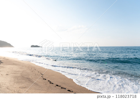 夏の白兎海岸 118023718