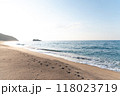 夏の白兎海岸 118023719