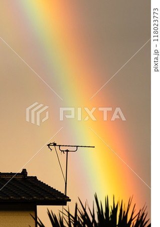 空に架かる虹 118023773