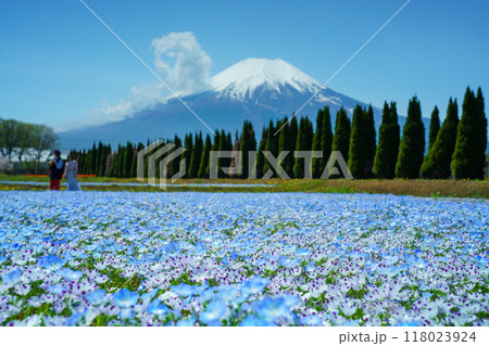 【山梨県】ネモフィラ咲く花の都公園から、富士山 118023924